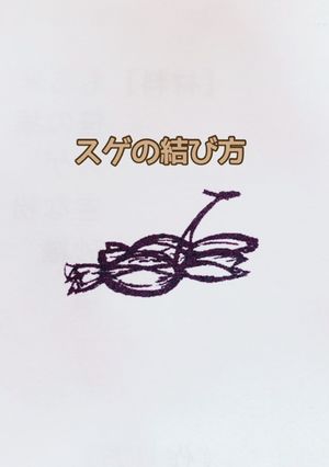 笹団子〜スゲの結び方編〜-レシピのメイン写真