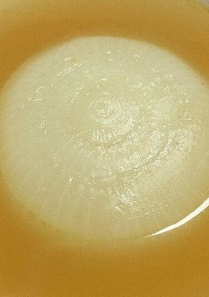 まるごと新玉ねぎスープ-レシピのメイン写真