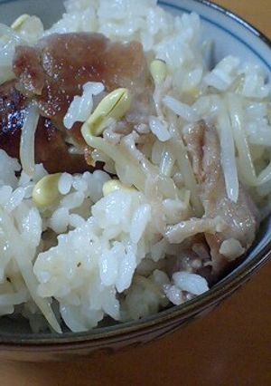 お肉ともやしの炊き込みごはん-レシピのメイン写真
