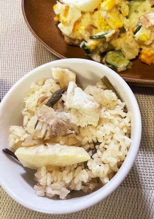 鯛飯!筍&山菜ごはん♡♡-レシピのメイン写真