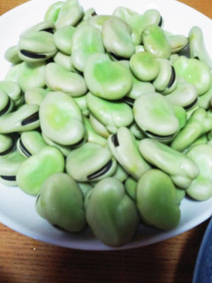 そら豆シンプルに-レシピのメイン写真
