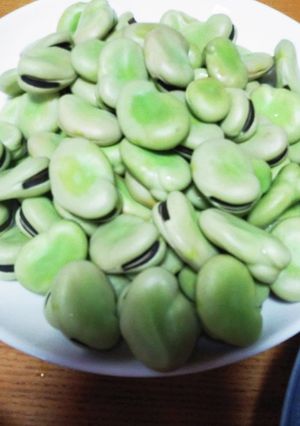 そら豆シンプルに-レシピのメイン写真