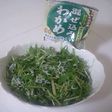 ビックリ!!超簡単水菜のサラダ?
