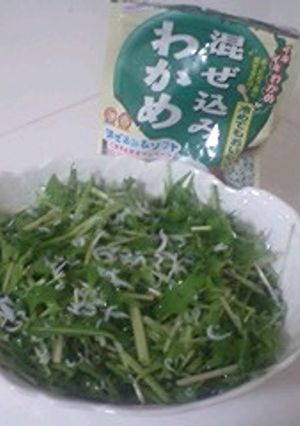 ビックリ!!超簡単水菜のサラダ?-レシピのメイン写真