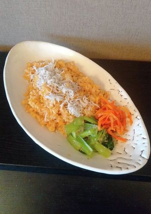 玉子　しらす　炒飯　ナムル-レシピのメイン写真