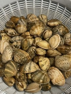 あさりの砂抜き-レシピのメイン写真