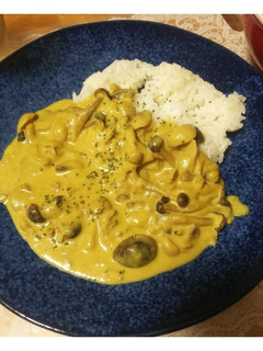 クリーミーきのこカレー-レシピのメイン写真