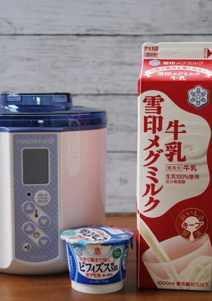 雪印カプセルヨーグルトでヨーグルト作り-レシピのメイン写真