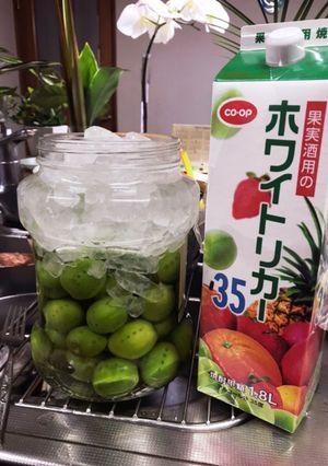 簡単な手づくり梅酒-レシピのメイン写真