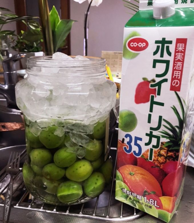 簡単な手づくり梅酒-レシピのメイン写真