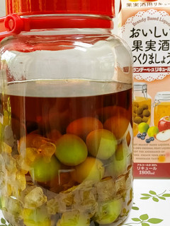 梅酒の季節ブランデー風味で楽しみ-レシピのメイン写真