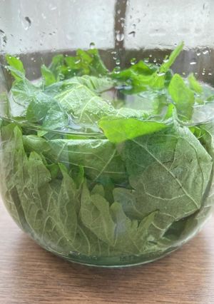 しそ酒-レシピのメイン写真