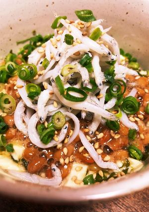 絶対旨い。めかぶ 納豆-レシピのメイン写真
