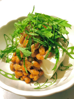 大葉と納豆の冷奴-レシピのメイン写真
