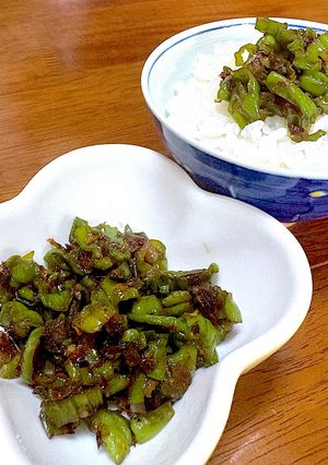 ご飯がすすむ！ししとうの甘辛煮　作り置き-レシピのメイン写真