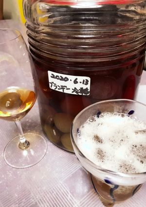 ブランデー梅酒でハイボール♪♪♪-レシピのメイン写真