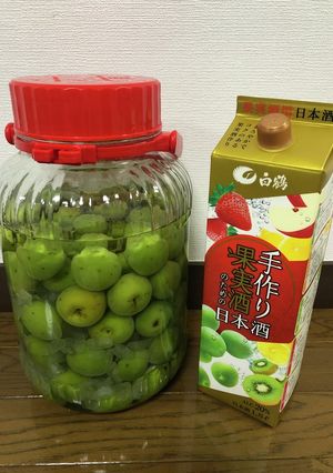梅酒（日本酒）2021-レシピのメイン写真