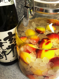 完熟南高梅の梅酒-レシピのメイン写真