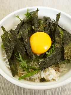 好きなものを入れて♪ずぼら飯*しらす丼-レシピのメイン写真