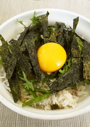 好きなものを入れて♪ずぼら飯＊しらす丼-レシピのメイン写真
