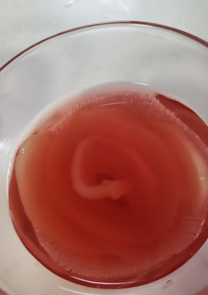 お酢のゼリー-レシピのメイン写真