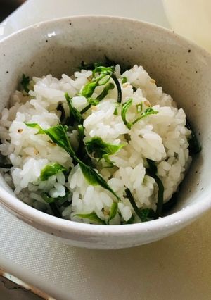 コシアブラの菜飯-レシピのメイン写真