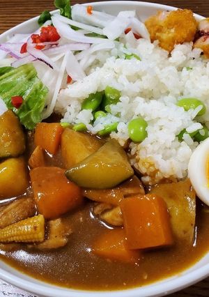 お野菜たっぷりゴロゴロカレー-レシピのメイン写真