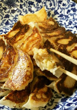 サーモンでヘルシー餃子-レシピのメイン写真