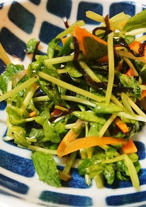人参と豆苗の塩昆布サラダ-レシピのメイン写真