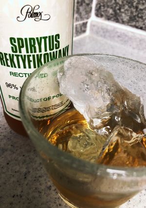 スパイス香る生姜の果実酒-レシピのメイン写真
