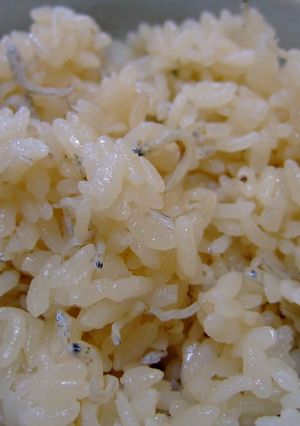 新鮮！じゃこ飯-レシピのメイン写真
