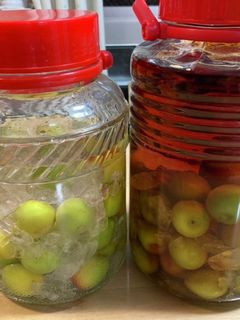 簡単 ブランデー梅酒 焼酎梅酒-レシピのメイン写真