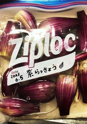 珍しい！！紫らっきょうの甘酢漬けです！！-レシピのメイン写真