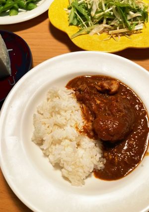 スパイシー手羽元カレー-レシピのメイン写真