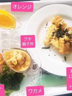 厚揚のチーズじゃこ海苔トッピング☆他-レシピのメイン写真