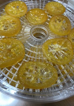 小夏コンフィで作るケーキ-レシピのメイン写真