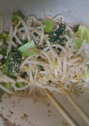 もやしの胡麻酢合え-レシピのメイン写真