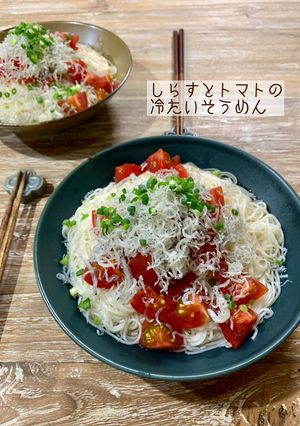 しらすとトマトの冷たいそうめん-レシピのメイン写真