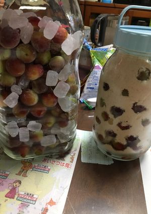 パープルクイーンの梅シロップ-レシピのメイン写真