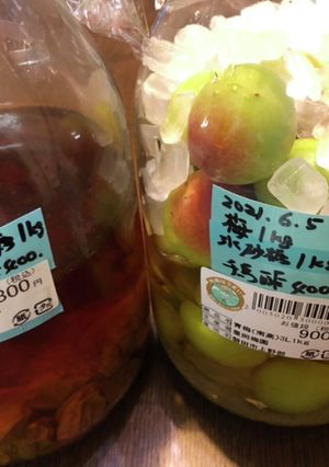 我が家の梅ジュース(梅サワー)-レシピのメイン写真