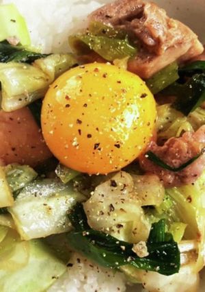 鶏しょうがスタミナ丼-レシピのメイン写真