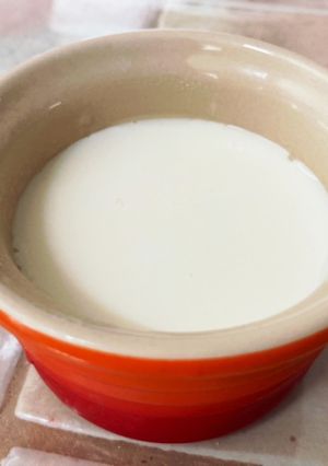 【覚書】豆乳豆腐の作り方-レシピのメイン写真