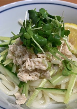 さっぱり鳥ささみの冷やしうどん-レシピのメイン写真