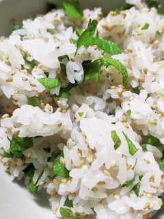 混ぜるだけ!大葉ご飯-レシピのメイン写真