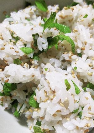 混ぜるだけ！大葉ご飯-レシピのメイン写真