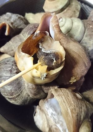 つぶ貝の塩ゆでと注意点-レシピのメイン写真