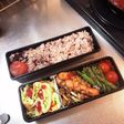 キャベツオムレツのお弁当