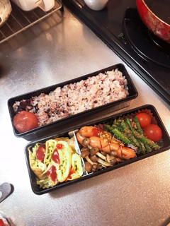 キャベツオムレツのお弁当-レシピのメイン写真
