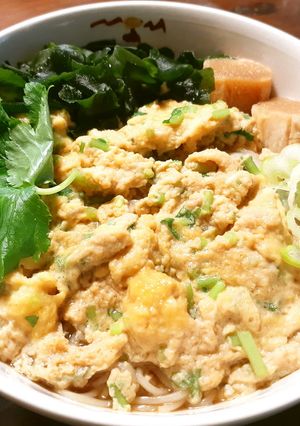 高野豆腐粉でかきたまにゅう麺 発酵玉葱-レシピのメイン写真