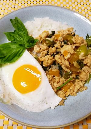お家でタイ料理！簡単ガパオライス-レシピのメイン写真